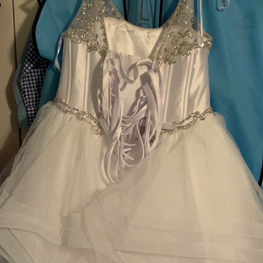Pageant Gown - Picture 3 of 3